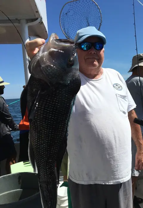 Super Hawk catch 14