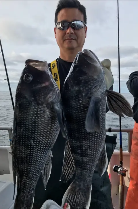 Super Hawk catch 18